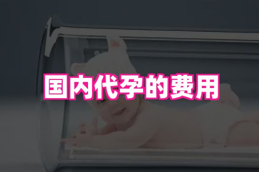 福建助孕网 1